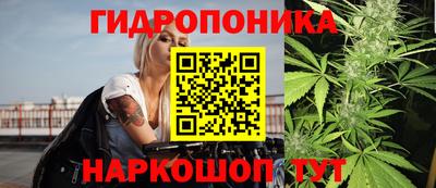 ECSTASY Кингисепп