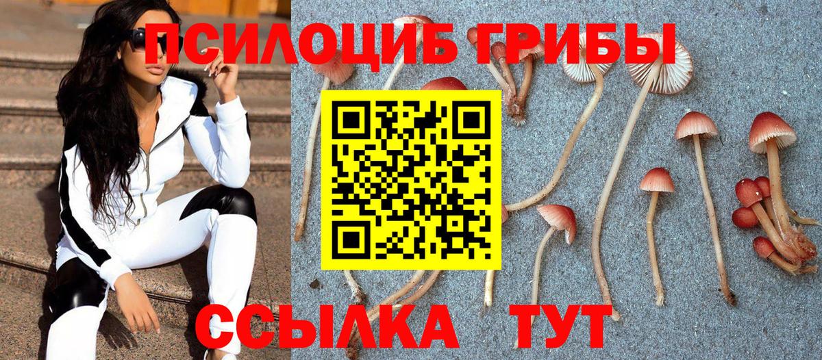 Красноуфимск  Псилоцибиновые грибы мицелий  Псилоцибиновые грибы MAGIC MUSHROOMS  Вход с VPN 